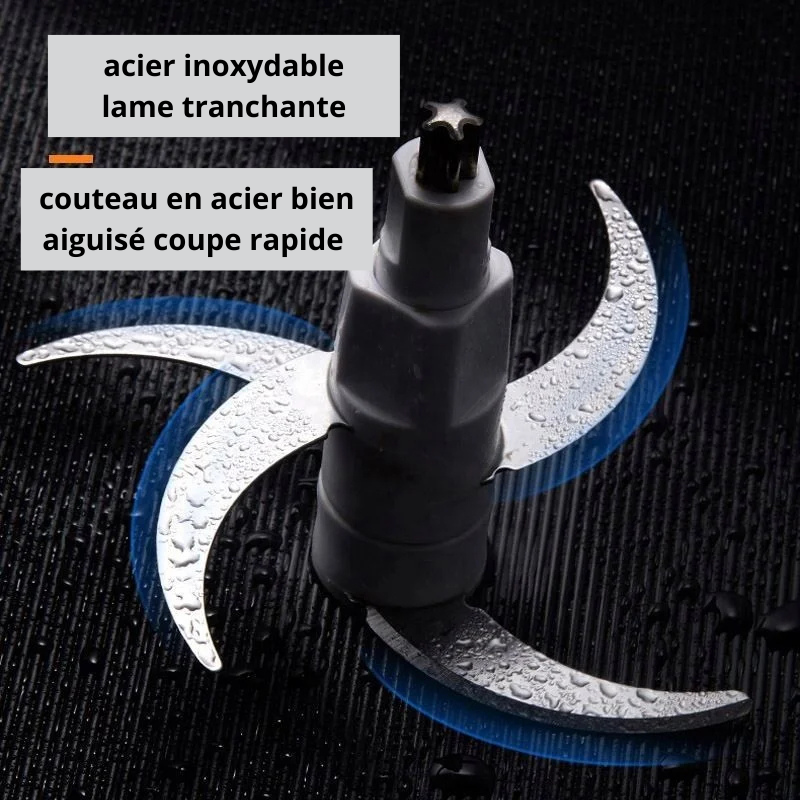 Hachoir électrique 3L